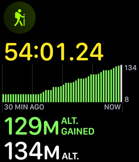 The hiking workout displaying elevation gain.