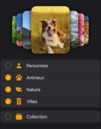Plusieurs cadrans photos d’Apple Watch empilés au-dessus d’un menu de filtres