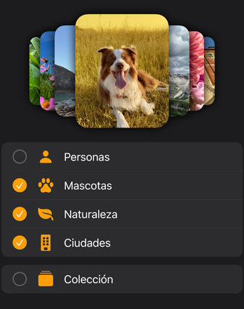Varias carátulas de fotos del Apple Watch se apilan sobre el menú de filtros