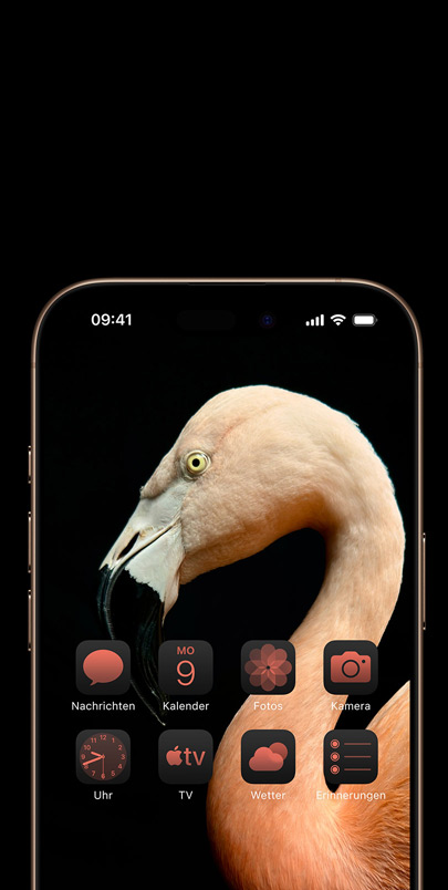 iPhone 16 Display mit einem dynamischen Seitenprofilfoto eines rosafarbenen Flamingos und passenden rosa eingefärbten Widgets.