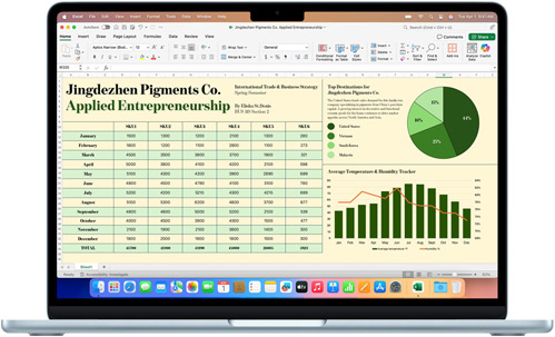 De Microsoft Excel-app op een MacBook Air