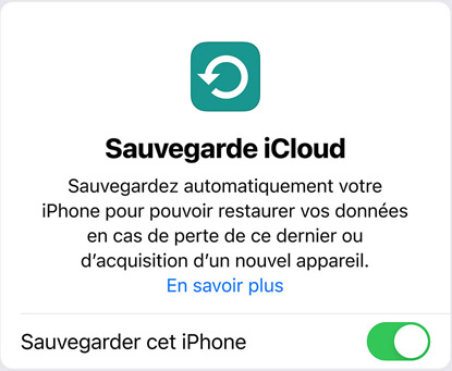 Écran affichant l’utilisation de données de la Sauvegarde iCloud