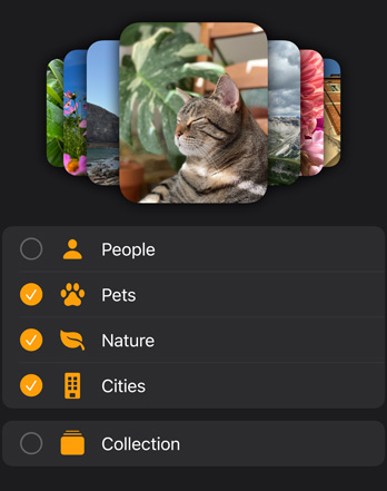 Beberapa wajah foto Apple Watch ditumpuk di atas menu filter