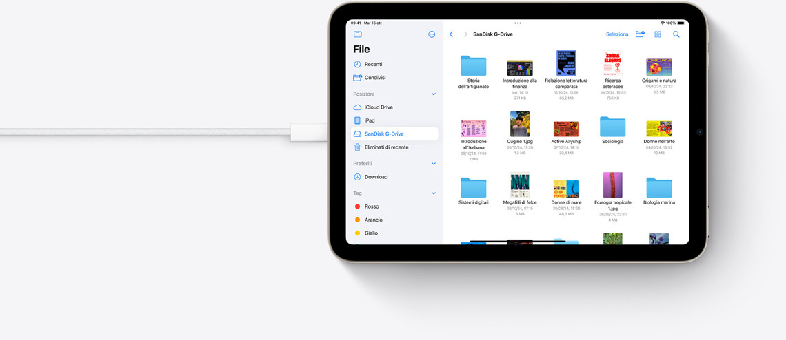 File su un iPad mini in orizzontale collegato a un cavo USB-C.