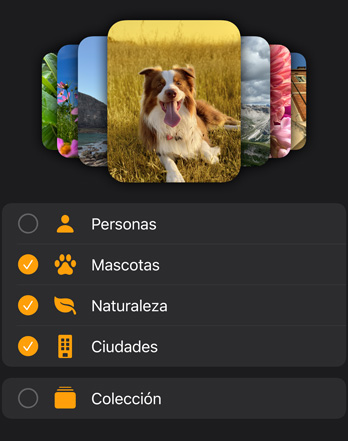Varias carátulas de fotos del Apple Watch se apilan sobre el menú de filtros