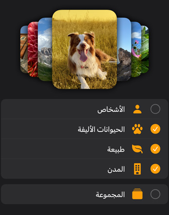 العديد من واجهات صور Apple Watch مكدسة فوق قائمة فلترة