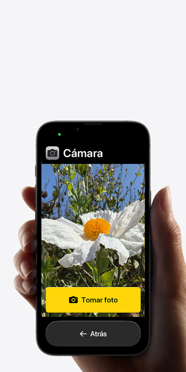 Pantalla de un iPhone 16e que muestra una interfaz simplificada de la app Cámara con una flor rosa en el cuadro y los botones “Tomar Foto” y “Atrás” debajo