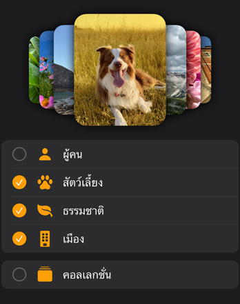 หน้าปัดรูปภาพของ Apple Watch หลายแบบเรียงซ้อนกันอยู่เหนือเมนูคัดกรอง