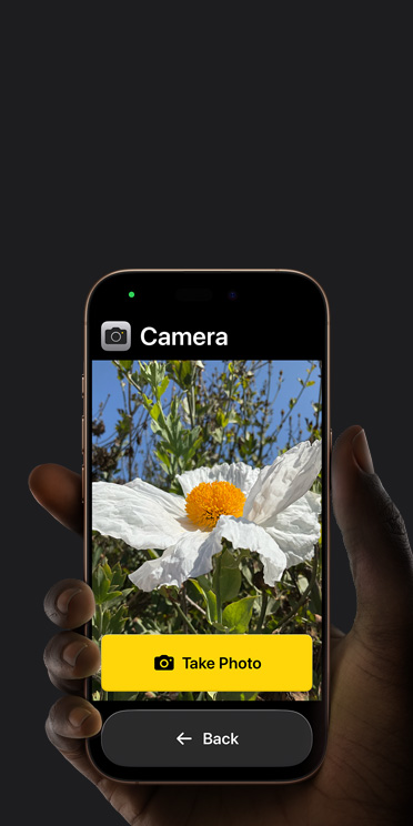 Schermata dell’iPhone 16 Pro che mostra l’interfaccia semplificata dell’app Fotocamera con un fiore rosa nella cornice, “Take Photo” button, and “Back button below