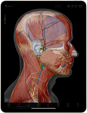 De Human Anatomy Atlas-app op een iPad Air