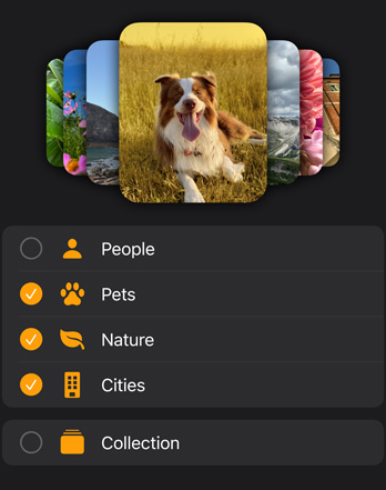 Vários mostradores de fotografias do Apple Watch empilhados por cima de um menu de filtros